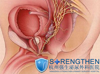 ǰ��������Ҫ����Щ����