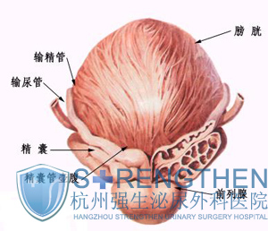 ǰ�����������Բ���